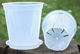 Round Vented Clear Pot-QINGSHAN (complimentary saucer)
