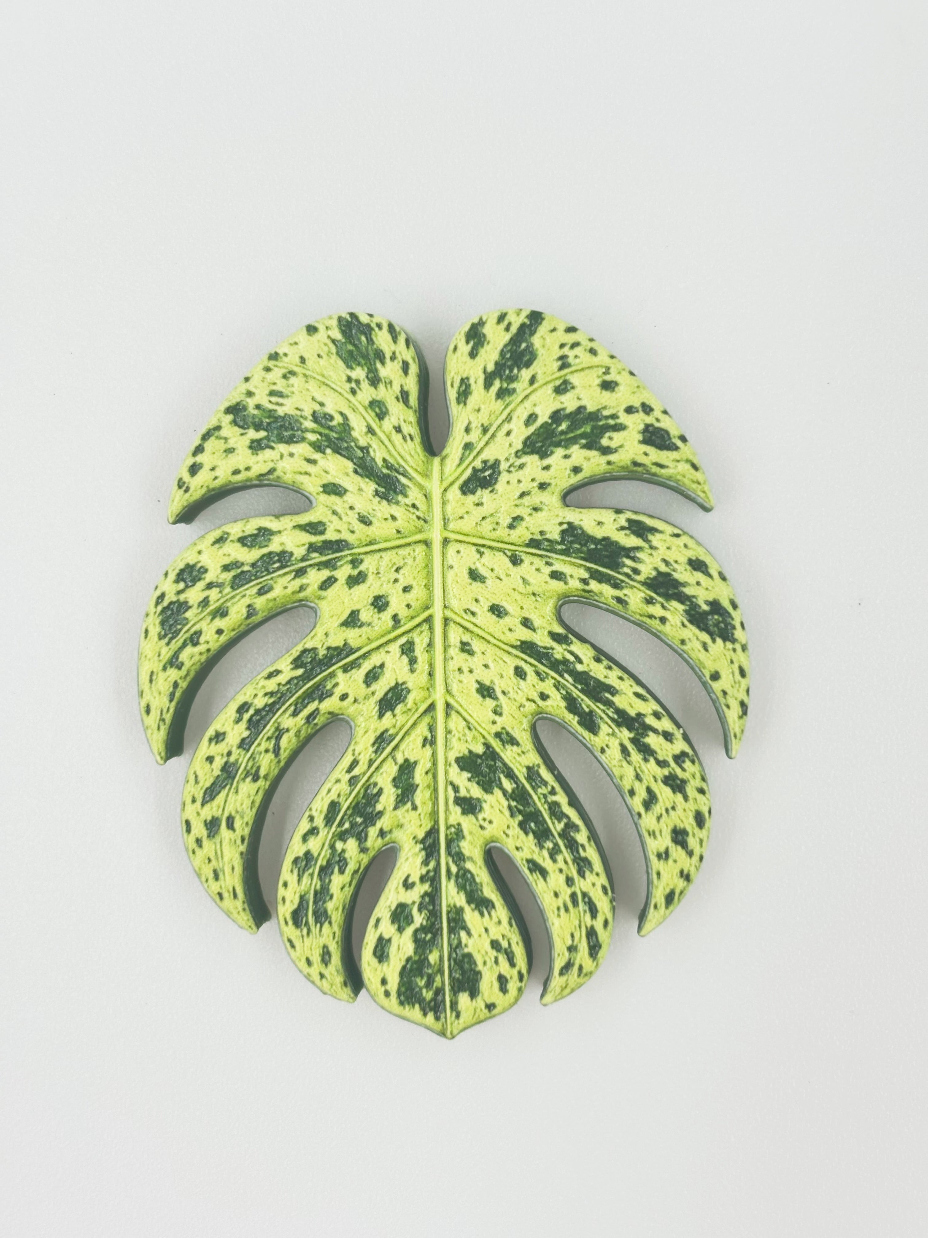 Tropical Leaf Magnet — Monstera Series