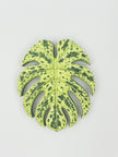 Tropical Leaf Magnet — Monstera Series