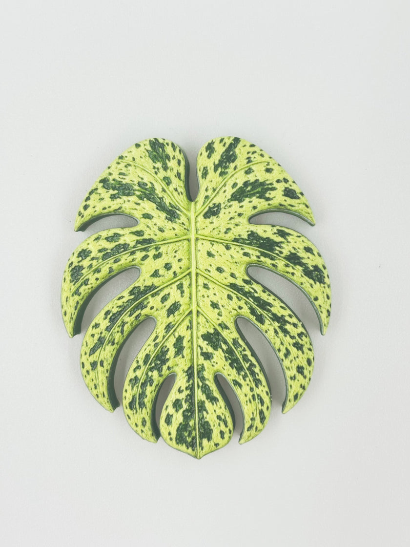 Tropical Leaf Magnet — Monstera Series