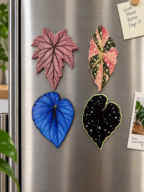 Tropical Leaf Magnet — Begonia Series