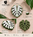 Tropical Leaf Magnet — Monstera Series