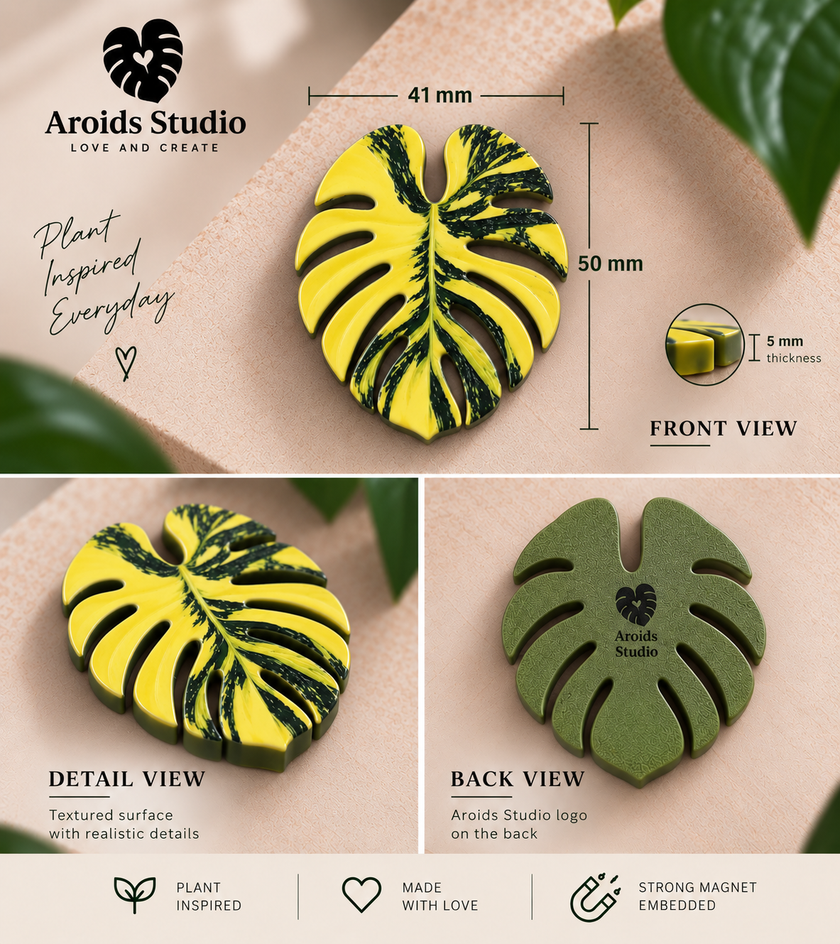 Tropical Leaf Magnet — Monstera Series