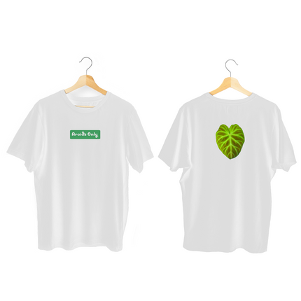 Philodendron Tee (Verrucosum)