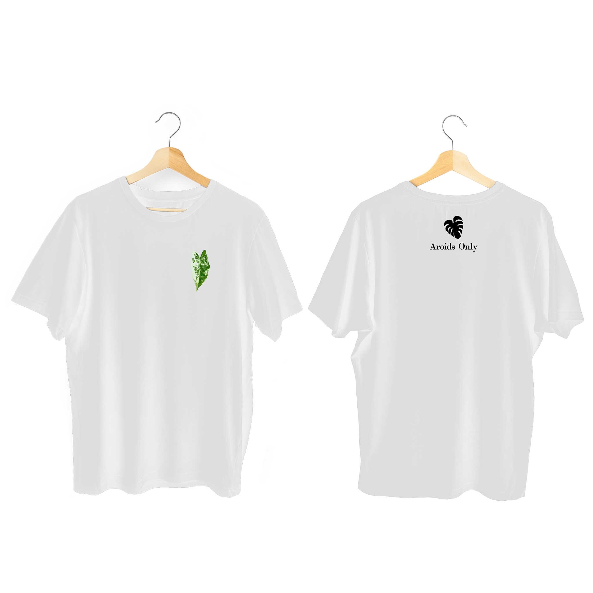 Alocasia Frydek Var Tee (White)