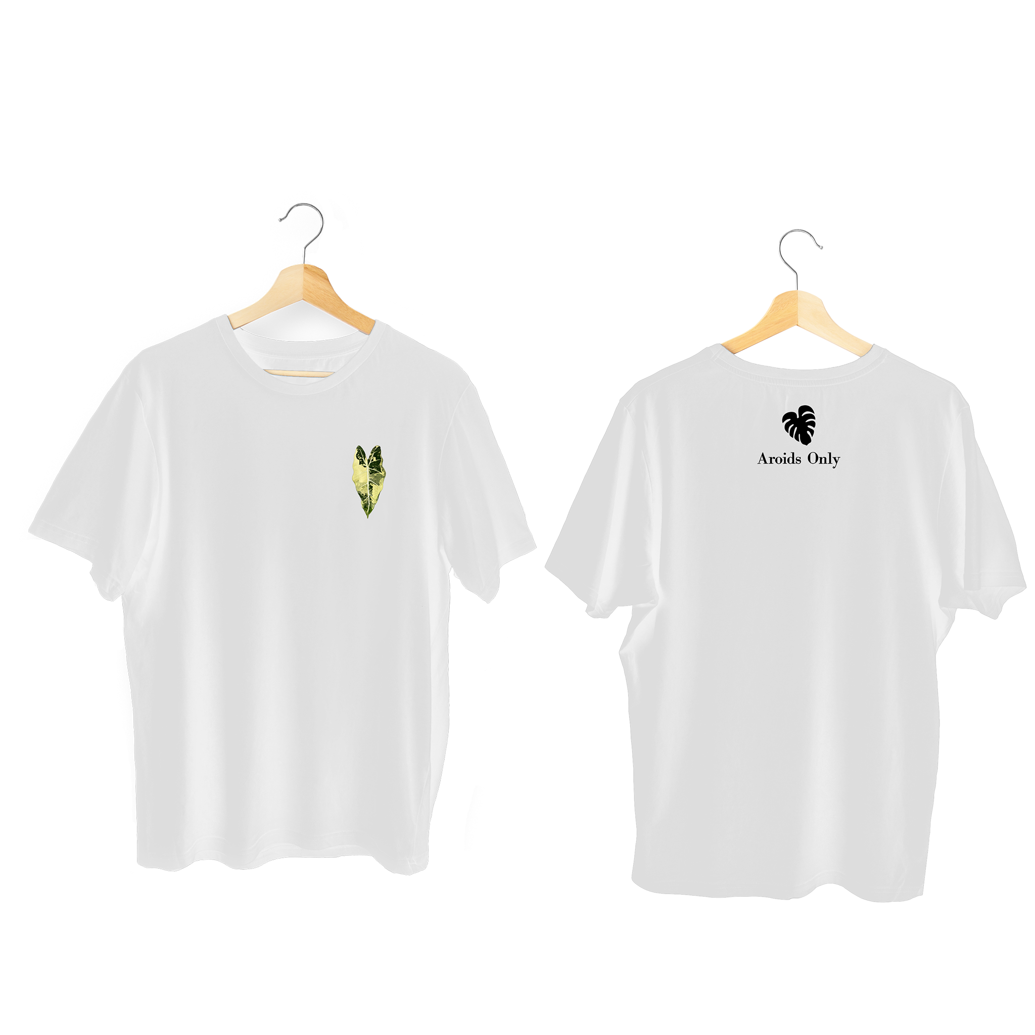 Alocasia Frydek Var Tee (Yellow)