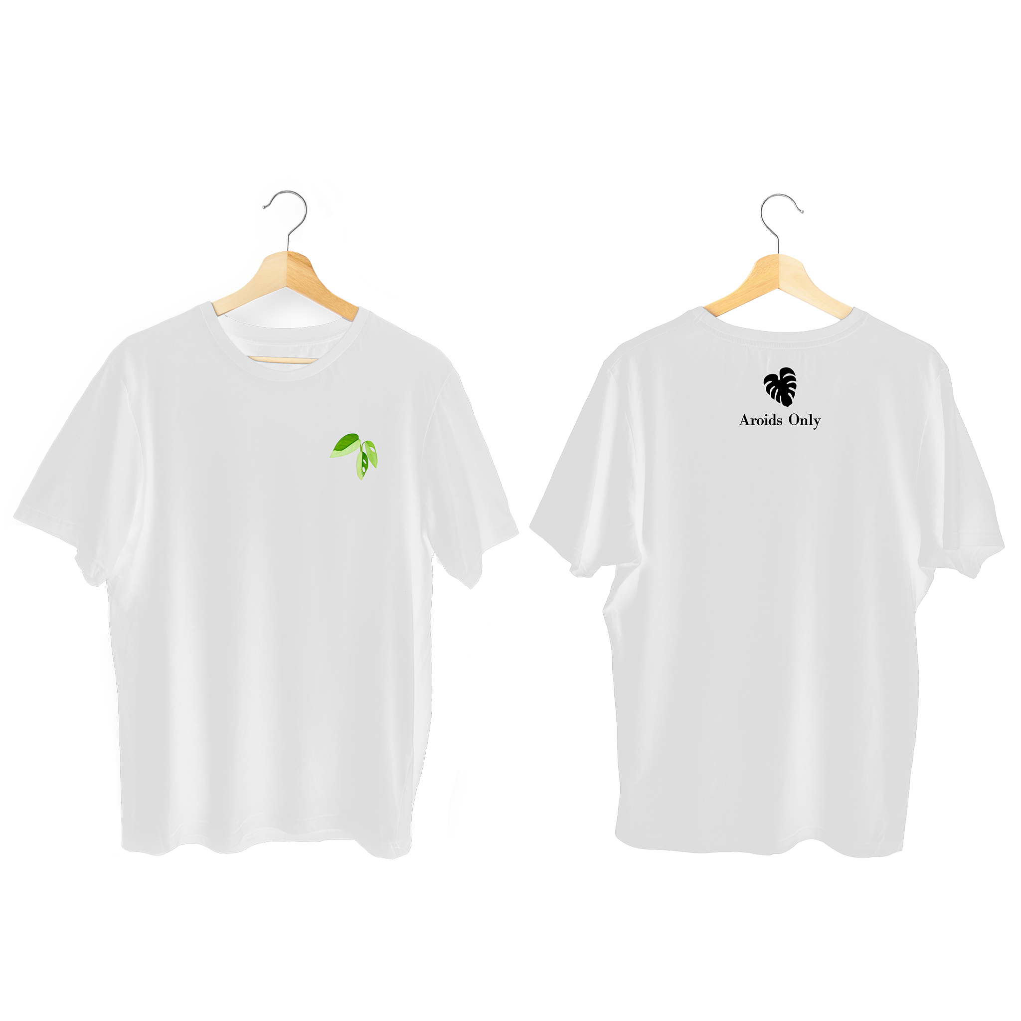 Monstera Tee (Adansonii Aurea)