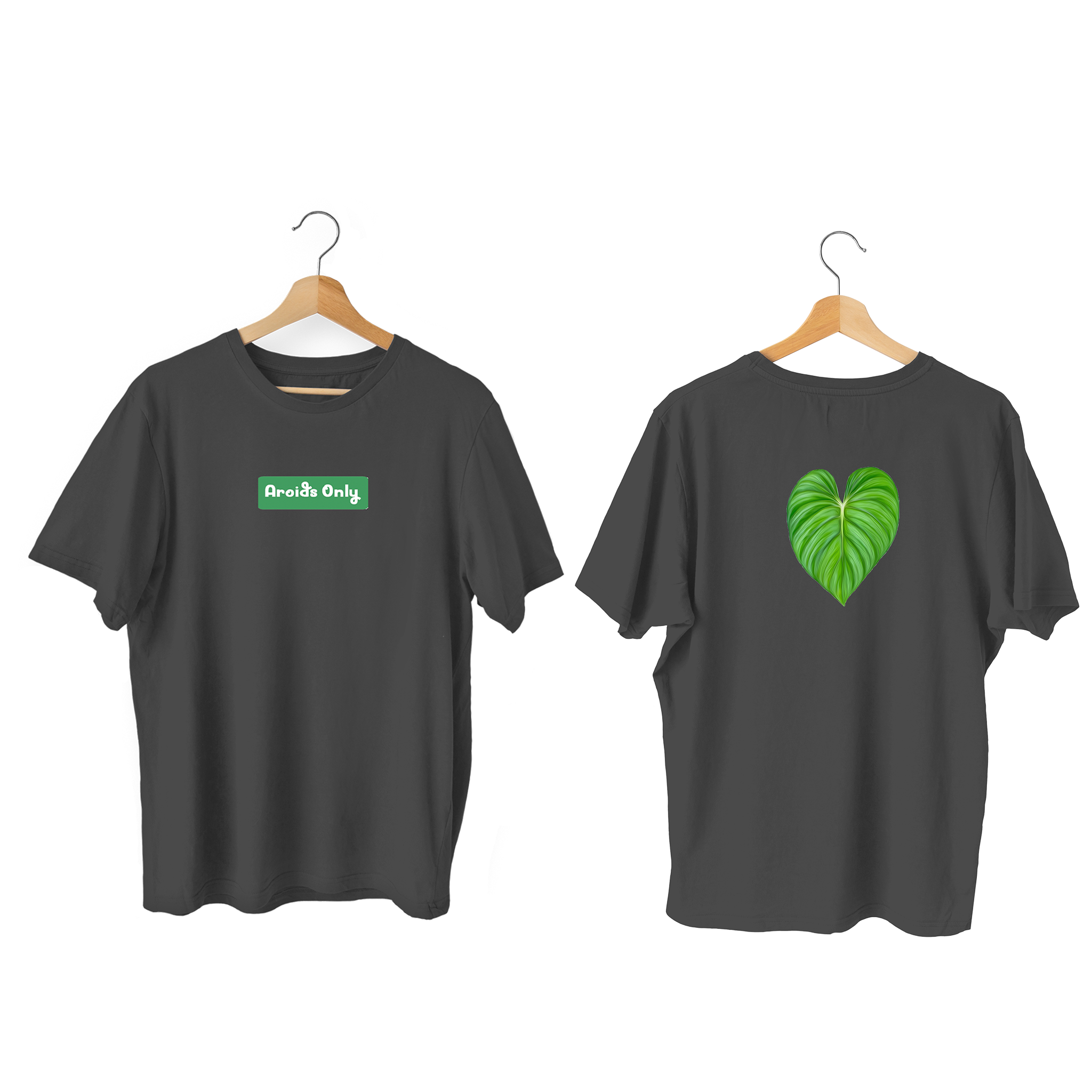 Philodendron Tee (Plowanii Citrus)