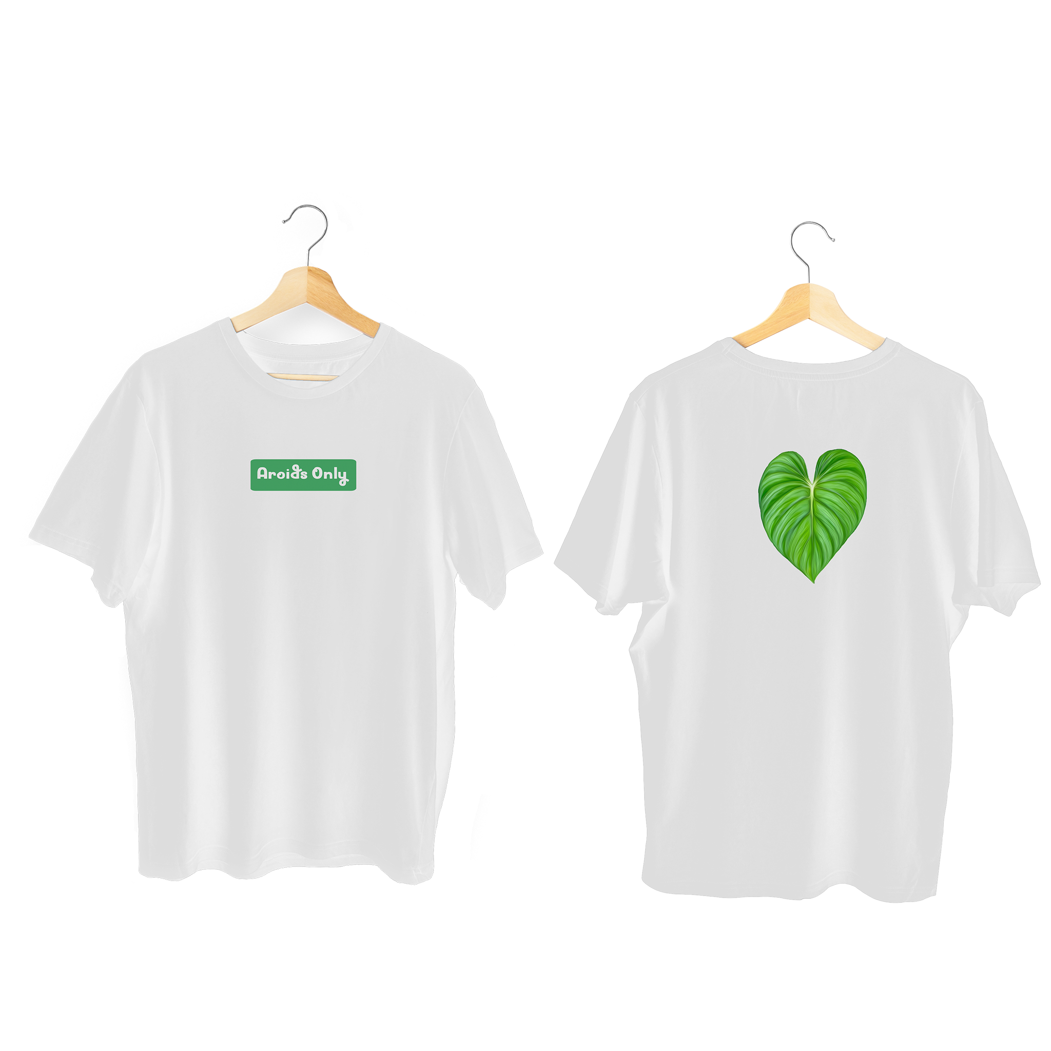 Philodendron Tee (Plowanii Citrus)